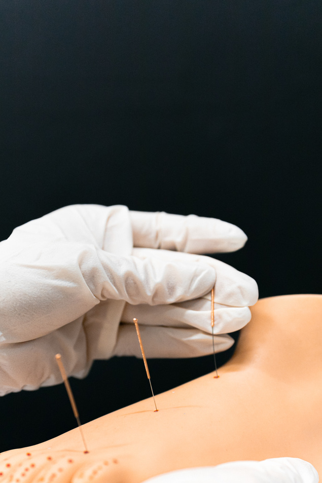 A Person Holding a Foot Acupuncture Model